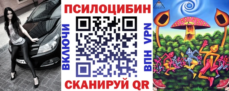 Купить  Куйбышев  Псилоцибиновые грибы Psilocybine cubensis 
